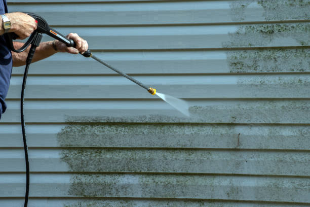 Best Pressure Washing Company Near Me  in Blue Ridge, AL